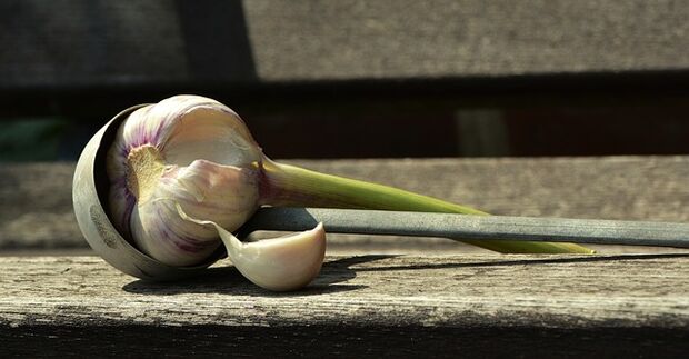 Knoblauch gegen Würmer